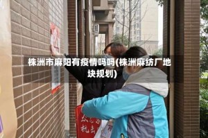 株洲市麻阳有疫情吗吗(株洲麻纺厂地块规划)