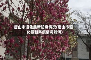 唐山市遵化最新防疫情况(唐山市遵化最新防疫情况如何)