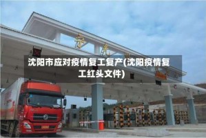 沈阳市应对疫情复工复产(沈阳疫情复工红头文件)