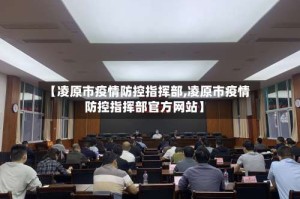 【凌原市疫情防控指挥部,凌原市疫情防控指挥部官方网站】