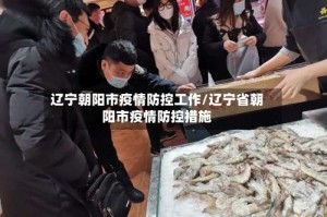 辽宁朝阳市疫情防控工作/辽宁省朝阳市疫情防控措施