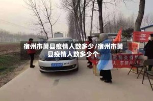 宿州市萧县疫情人数多少/宿州市萧县疫情人数多少个