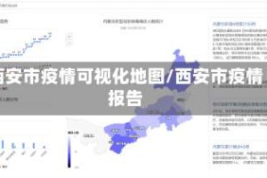 西安市疫情可视化地图/西安市疫情报告