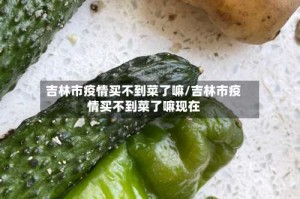 吉林市疫情买不到菜了嘛/吉林市疫情买不到菜了嘛现在
