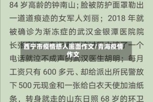 西宁市疫情感人画面作文/青海疫情作文