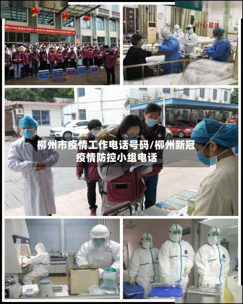 柳州市疫情工作电话号码/柳州新冠疫情防控小组电话-第3张图片