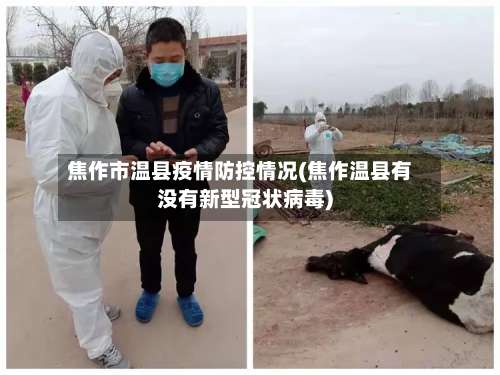 焦作市温县疫情防控情况(焦作温县有没有新型冠状病毒)-第3张图片