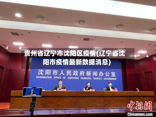 贵州省辽宁市沈阳区疫情(辽宁省沈阳市疫情最新数据消息)-第3张图片