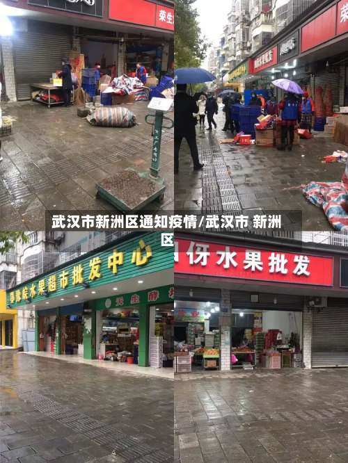 武汉市新洲区通知疫情/武汉市 新洲区-第2张图片