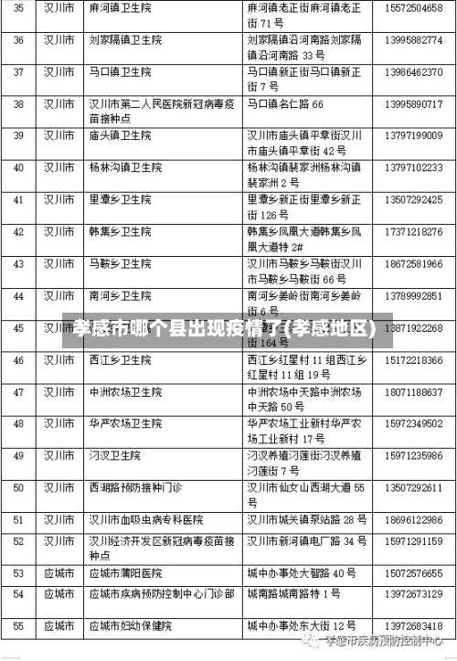 孝感市哪个县出现疫情了(孝感地区)-第1张图片