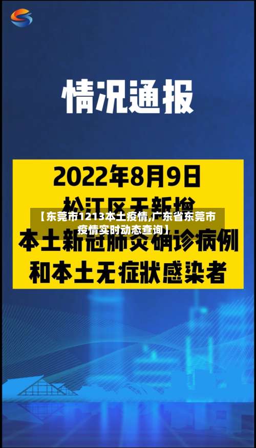 【东莞市1213本土疫情,广东省东莞市疫情实时动态查询】-第1张图片