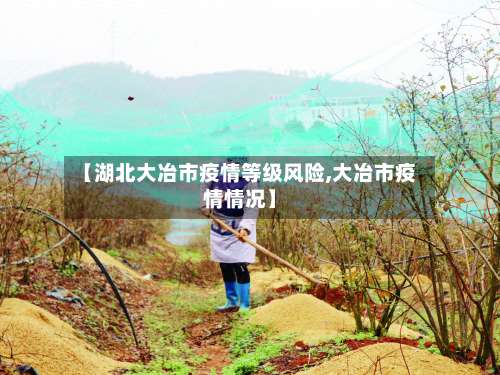 【湖北大冶市疫情等级风险,大冶市疫情情况】-第1张图片