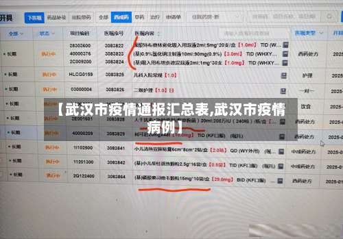 【武汉市疫情通报汇总表,武汉市疫情病例】-第1张图片