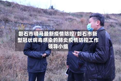 磐石市驿马最新疫情防控/磐石市新型冠状病毒感染的肺炎疫情防控工作领导小组-第1张图片