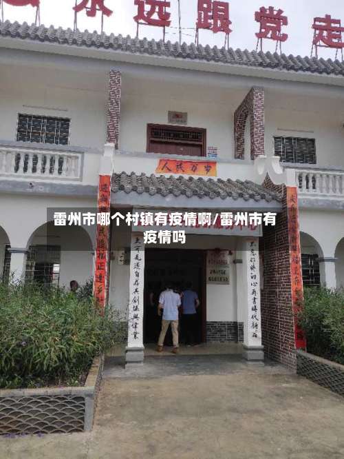 雷州市哪个村镇有疫情啊/雷州市有疫情吗-第2张图片