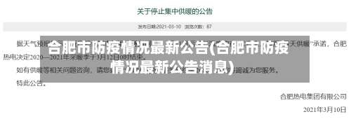 合肥市防疫情况最新公告(合肥市防疫情况最新公告消息)-第1张图片