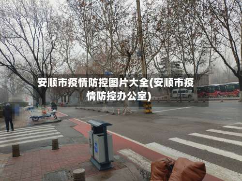 安顺市疫情防控图片大全(安顺市疫情防控办公室)-第1张图片