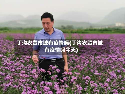 丁沟农贸市城有疫情吗(丁沟农贸市城有疫情吗今天)-第2张图片