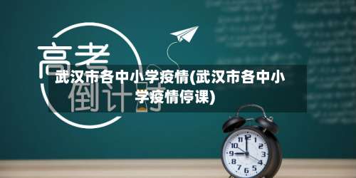 武汉市各中小学疫情(武汉市各中小学疫情停课)-第1张图片
