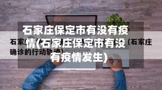 石家庄保定市有没有疫情(石家庄保定市有没有疫情发生)-第3张图片