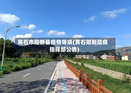 黄石市阳新县疫情等级(黄石阳新防疫指挥部公告)-第3张图片
