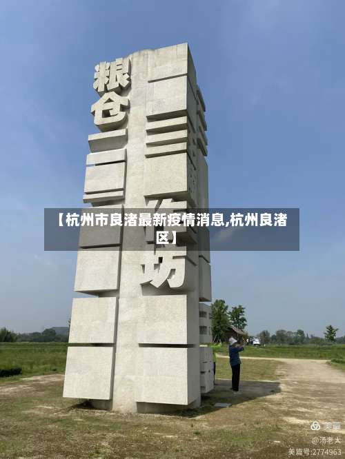【杭州市良渚最新疫情消息,杭州良渚区】-第1张图片
