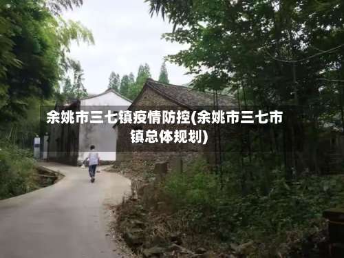 余姚市三七镇疫情防控(余姚市三七市镇总体规划)-第2张图片