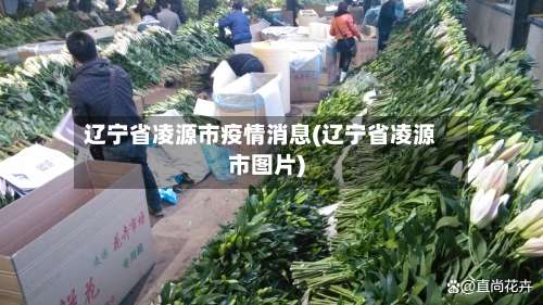 辽宁省凌源市疫情消息(辽宁省凌源市图片)-第2张图片