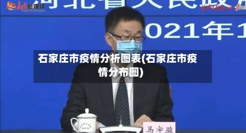 石家庄市疫情分析图表(石家庄市疫情分布图)-第3张图片